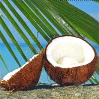 Кокосовый активный уголь гранулированный Silcarbon из скорлупы кокоса.jpg