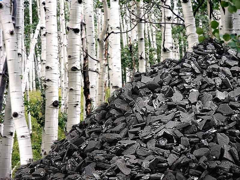 Уголь активированный древесный дробленый Silcarbon.jpg